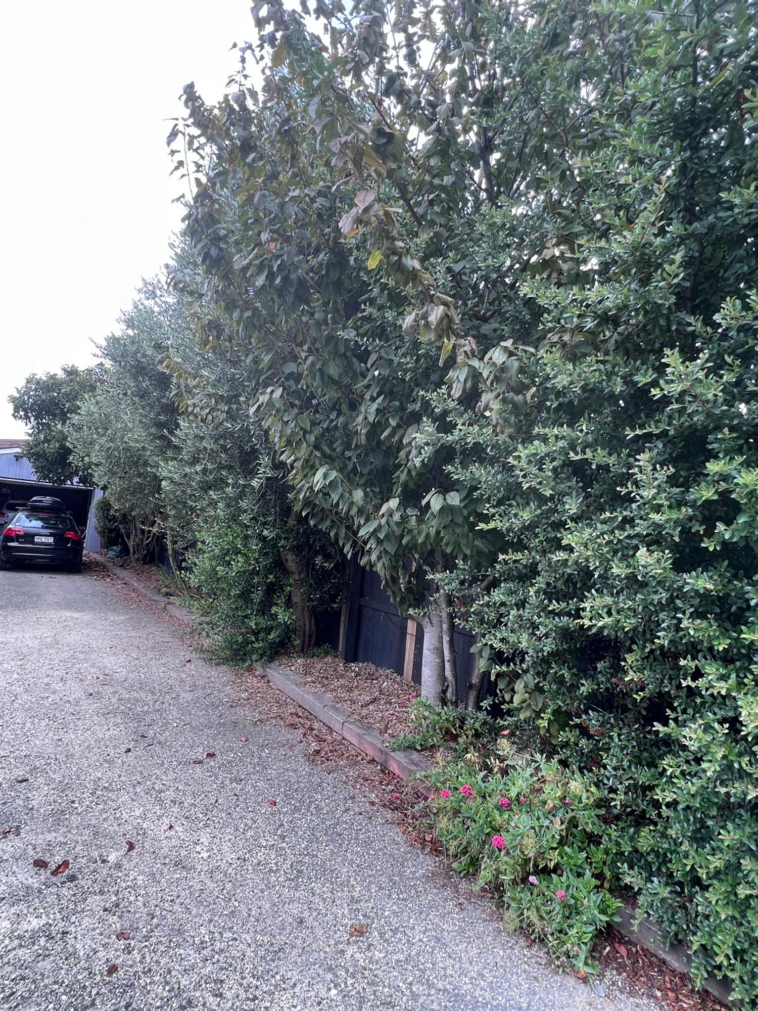 Gorgeous Villa, 7 Minutes From Airport Christchurch Extérieur photo