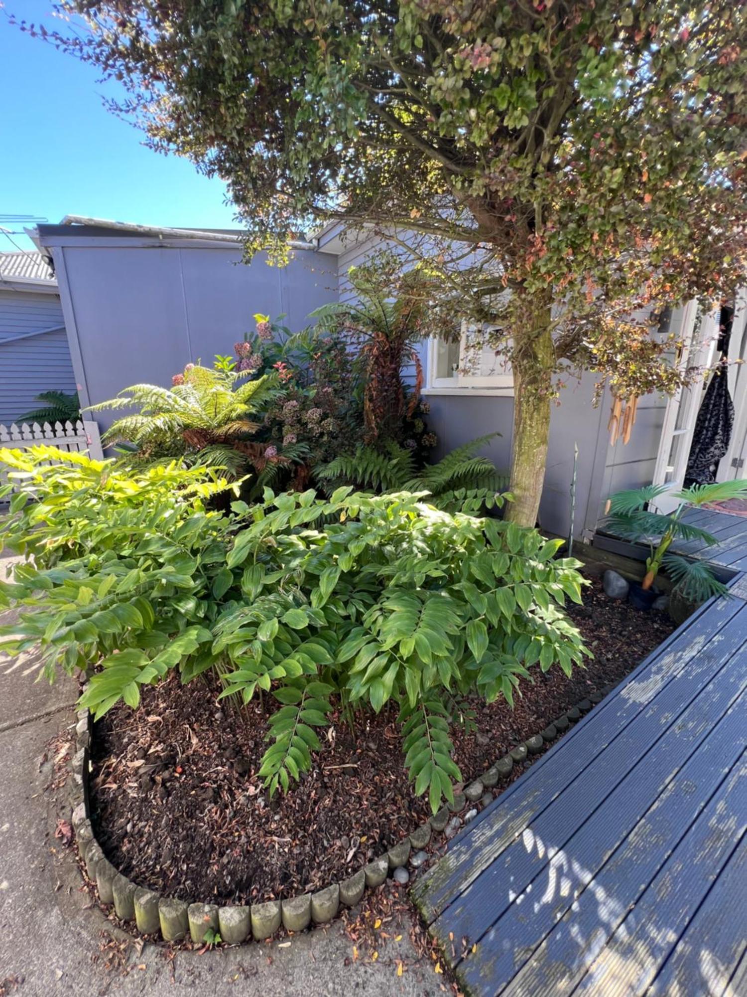 Gorgeous Villa, 7 Minutes From Airport Christchurch Extérieur photo